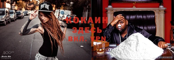 твердый Алексин
