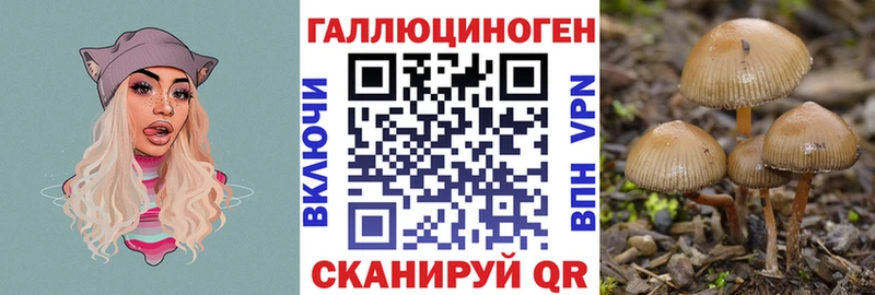 Псилоцибиновые грибы мухоморы  Мытищи 